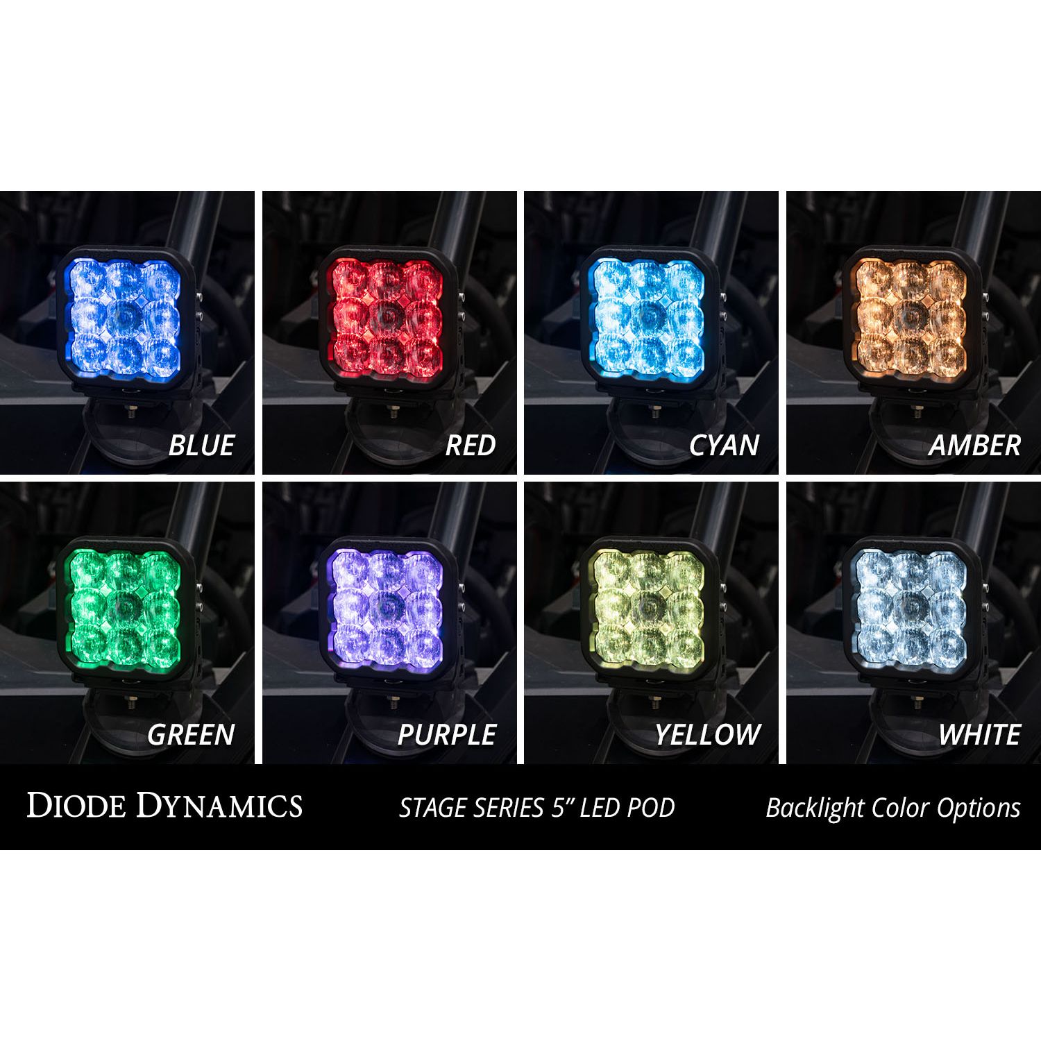 Bolt-on fitment on 2019-2024 Honda Talon