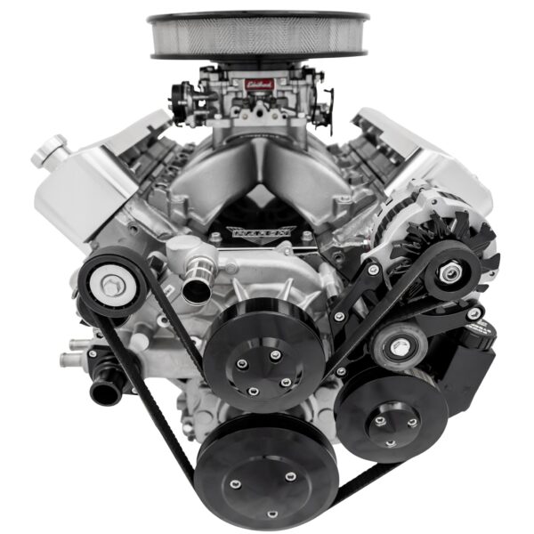 Chevy LS Pro Track Serpentine System - PS & ALT - Black