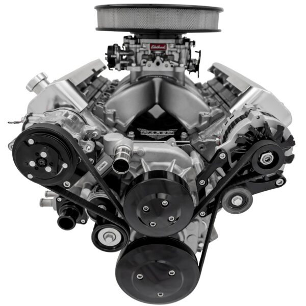 Chevy LS Pro Track Serpentine System - AC & ALT - Black