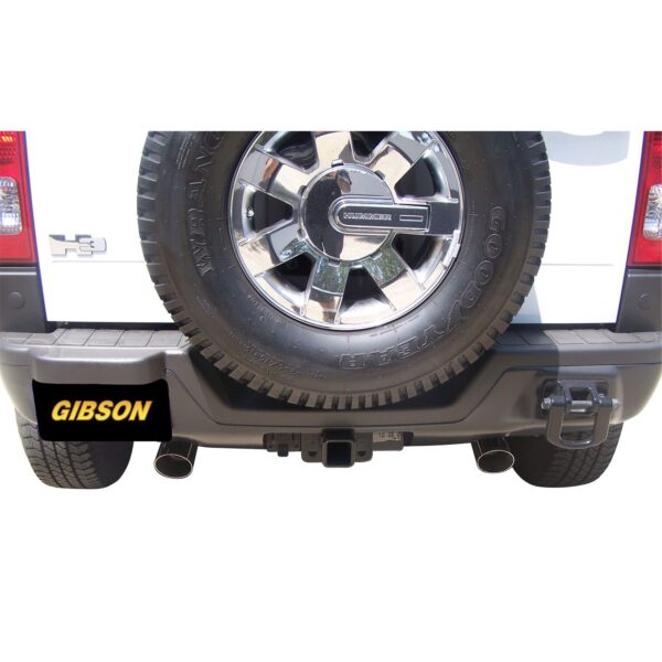 Dual Split Exhaust System