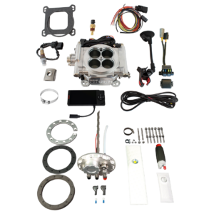 Go EFI 4 600 HP Bright Aluminum EFI System