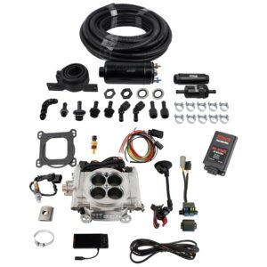 Go EFI 4 600 HP Bright Aluminum EFI System