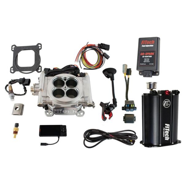 Go EFI 4 600 HP Bright Aluminum EFI System
