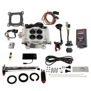 Go EFI 4 600 HP Bright Aluminum EFI System