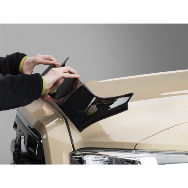Low Profile Aerodynamic Hood Protector