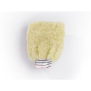 Wash Mitt