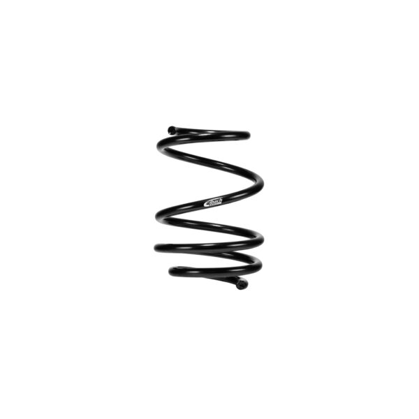Set of 2 Springs