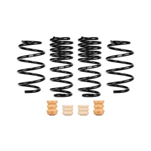 Set of 4 Springs