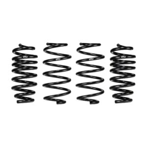 Set of 4 Springs