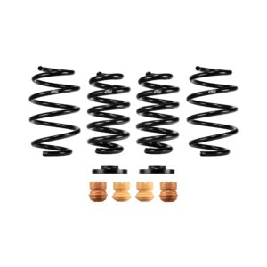 Set of 4 Springs